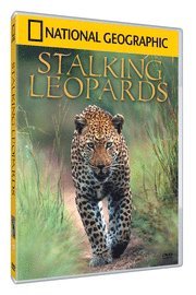 Omslagsbild: ISBN B200137900, NG DVD - Stalking Leopards