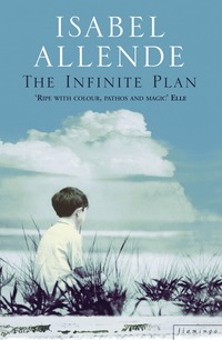 The Infinite Plan (h�ftad)