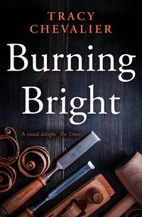 Burning Bright (h�ftad)