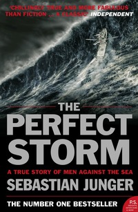 The Perfect Storm (h�ftad)