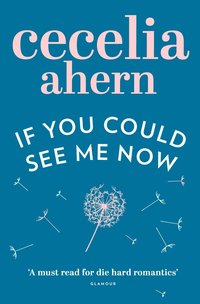 If You Could See Me Now (h�ftad)
