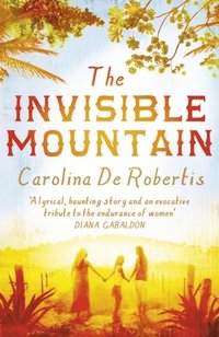 Invisible Mountain (h�ftad)