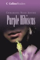 Purple Hibiscus (inbunden)