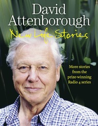 New Life Stories (inbunden)