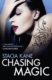Chasing Magic (e-bok)