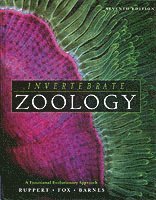 Invertebrate Zoology (inbunden)
