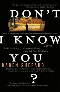Don't I Know You? (inbunden)