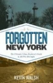 Forgotten New York: Views of a Lost Metropolis (inbunden)
