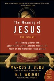 The Meaning of Jesus (h�ftad)