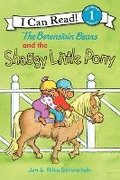 Berenstain Bears And The Shaggy Little Pony