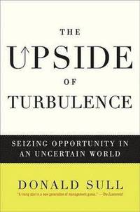 The Upside of Turbulence (inbunden)