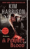 A Perfect Blood (e-bok)