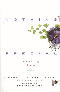 Nothing Special (h�ftad)