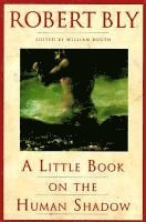 Little Book On The Human Shadow (h�ftad)