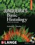 Junqueira's Basic Histology: Text and Atlas, 12th Edition