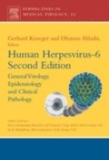 Human Herpesvirus-6