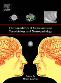 Boundaries of Consciousness: Neurobiology and Neuropathology (inbunden)