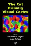 Cat Primary Visual Cortex