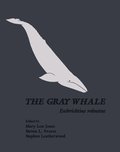 Gray Whale: Eschrichtius Robustus