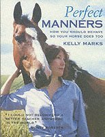 Perfect Manners (h�ftad)