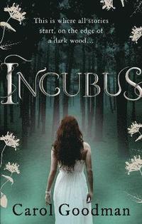 Incubus (h�ftad)