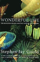 Wonderful Life (h�ftad)