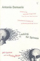Looking for Spinoza (h�ftad)