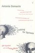 Looking for Spinoza