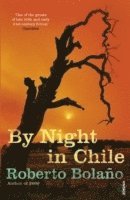 By Night in Chile (pocket)