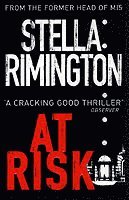 At Risk (h�ftad)