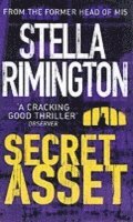 Secret Asset (h�ftad)
