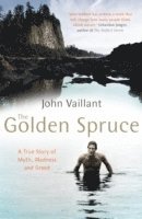 The Golden Spruce (h�ftad)