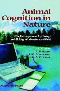 Animal Cognition in Nature (inbunden)