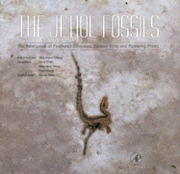The Jehol Fossils (inbunden)
