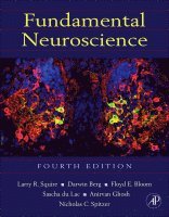 Fundamental Neuroscience (inbunden)