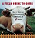 A Field Guide to Cows