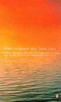 Wide Sargasso Sea (h�ftad)