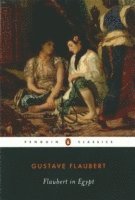 Flaubert in Egypt (pocket)