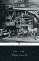 Capital: v. 3 Critique of Political Economy (h�ftad)