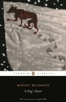 A Dog's Heart (h�ftad)