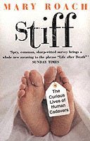 Stiff (h�ftad)