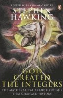 God Created the Integers (h�ftad)