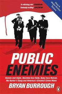 'Public Enemies' (h�ftad)