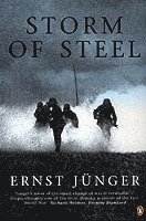 Storm of Steel (h�ftad)