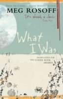 What I Was (h�ftad)