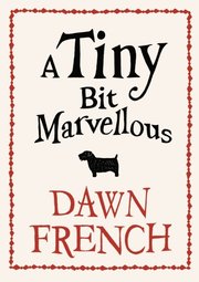 Tiny Bit Marvellous (e-bok)