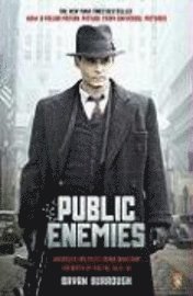 Public Enemies: America's Greatest Crime Wave and the Birth of the FBI, 1933-34 (h�ftad)