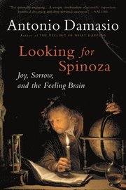 Looking for Spinoza: Joy, Sorrow, and the Feeling Brain (h�ftad)