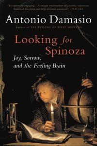 Looking for Spinoza: Joy, Sorrow, and the Feeling Brain (h�ftad)