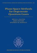 Phase Space Methods for Degenerate Quantum Gases